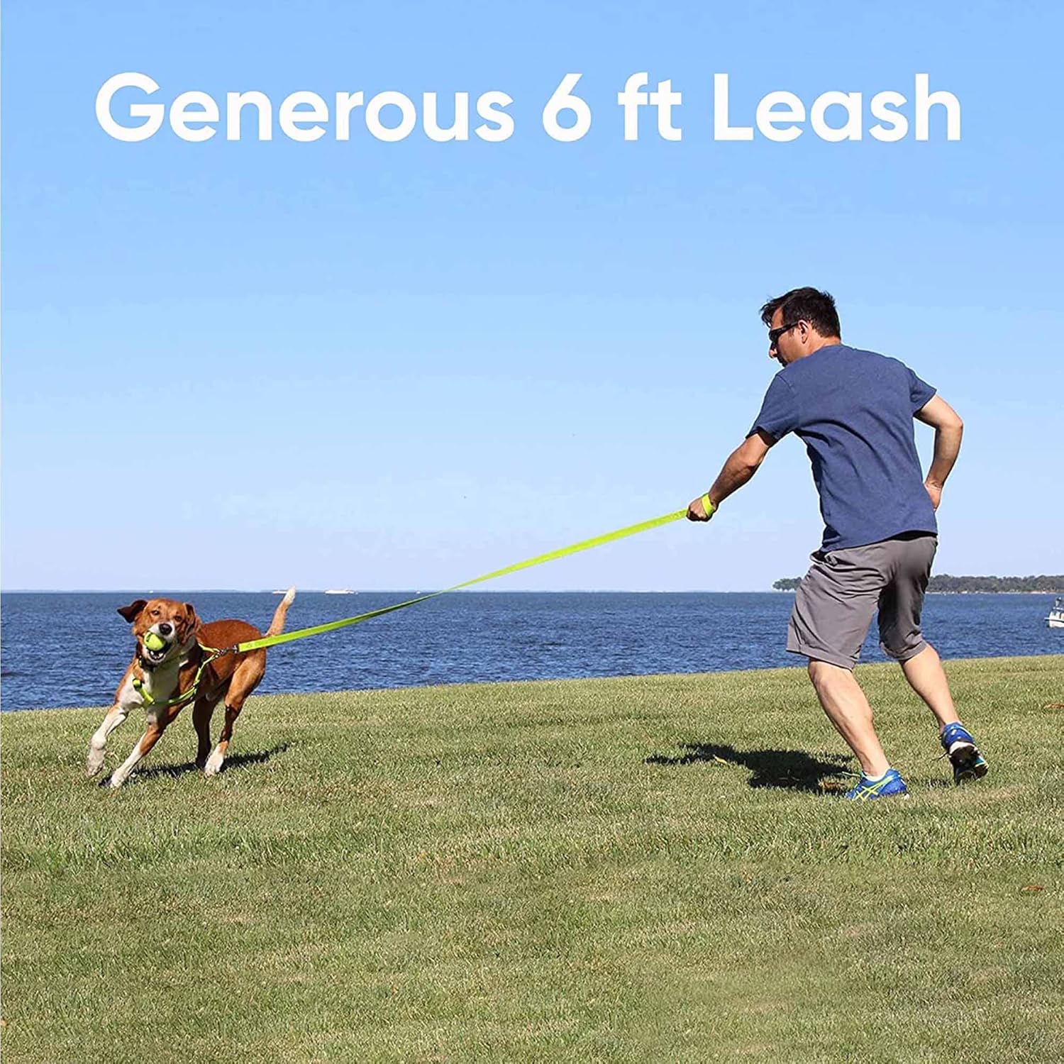 Solid 6 Ft Green Dog Leash XS/S Custom Name and Phone Embroidery Strong Nylon Leash for Small Breeds
