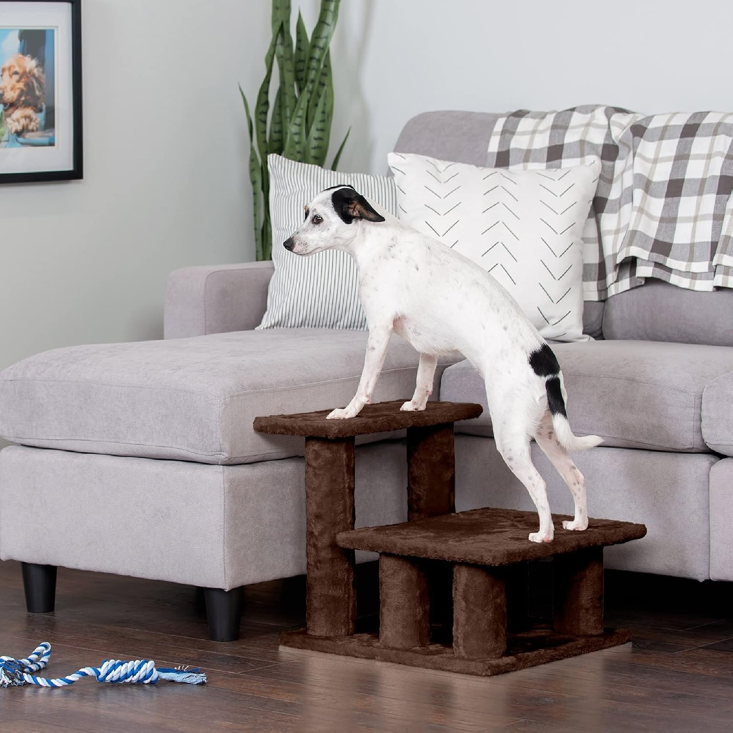 Steady Paws 3-Step Pet Stairs for Easy Access to High Beds & Sofas - Stylish Brown Design